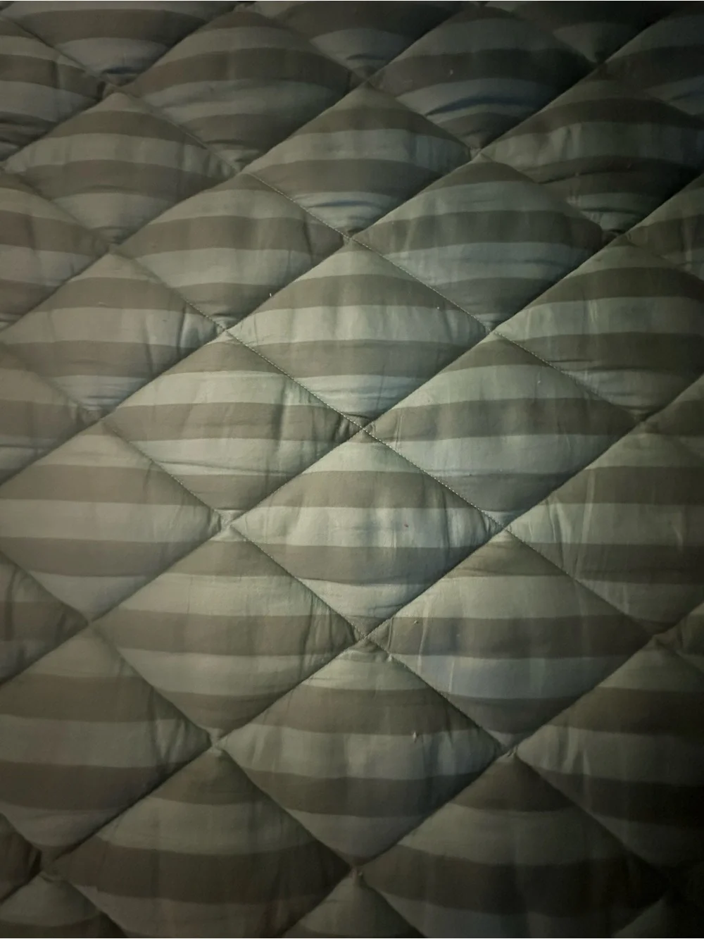 King Organic Cotton Floral & Wildlife Quilted Comforter - Never Used